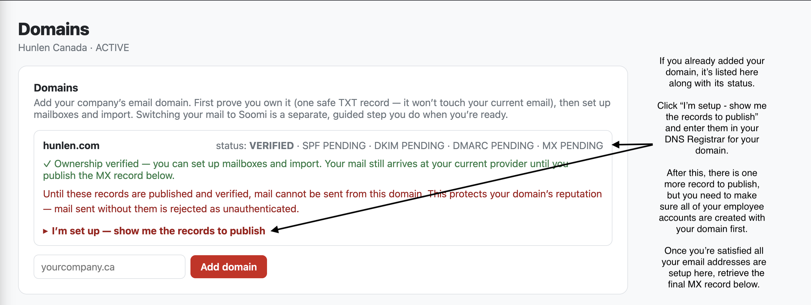Your domain and its status